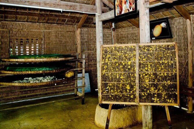 3-Hour Cultural Tour in Hoi An Silk Village with Local Meal - What to Expect from the Silk Village Tour