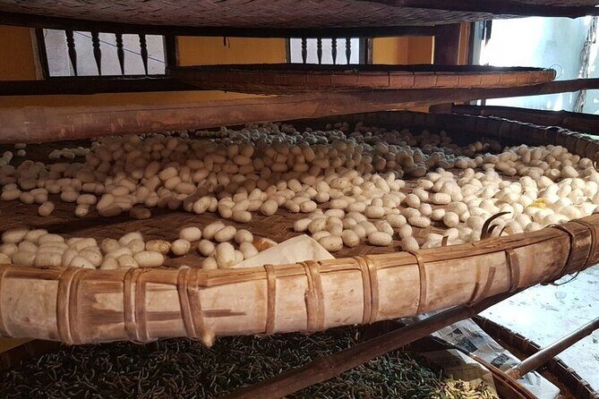 3-Hour Cultural Tour in Hoi An Silk Village with Local Meal - Is This Tour Worth It?