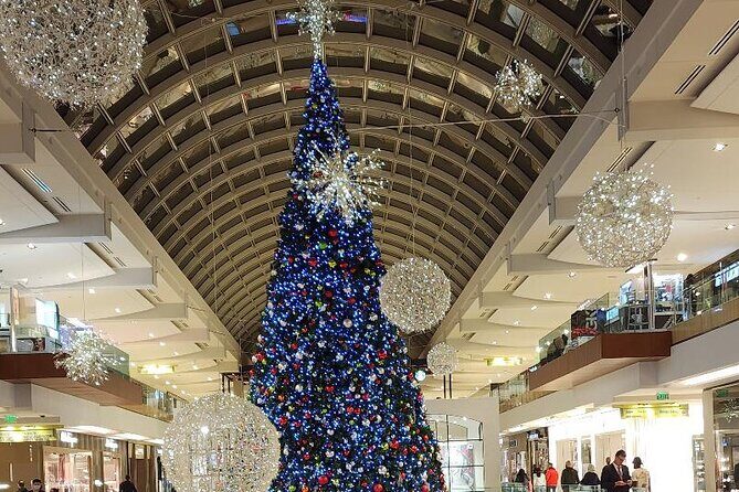 3 Hour December Holiday Lights Tour - What to Expect from the Houston Holiday Lights Tour