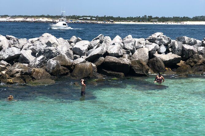 3 Hour Dolphin Tour - Frequently Asked Questions