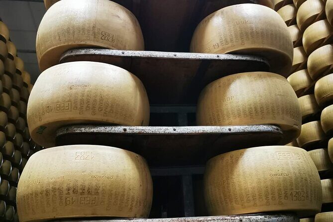 3 Hour E-bike Tour with Parmesan and Balsamic Vinegar - An In-Depth Look at the 3-Hour E-bike Tour in Modena