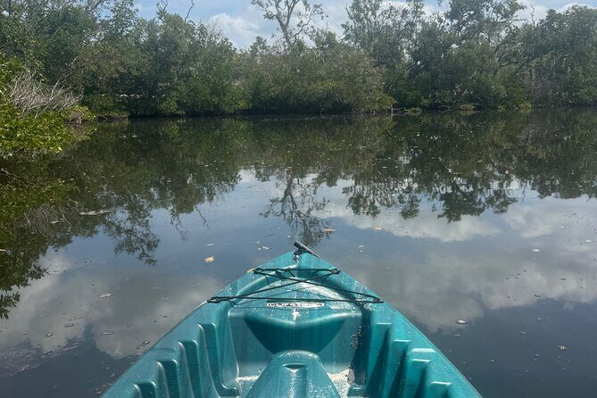3 hour E.G. Simmons Park Mangrove Tunnel Tour - Why Choose the E.G. Simmons Park Mangrove Tunnel Tour?