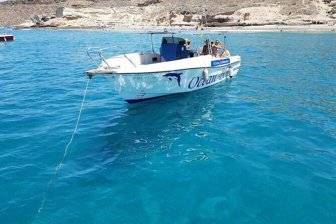 3-hour excursion to Puerto Colón Adeje to see whales - Introduction