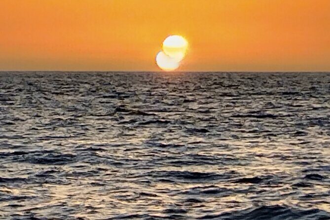 3-hour excursion to Puerto Colón Adeje to see whales - FAQ