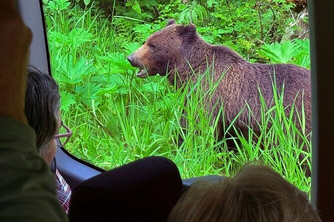 3 Hour Guided Driving Tour in Hoonah Alaska - Who Should Consider This Tour?