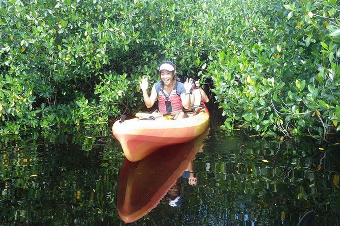 3 Hour Guided Mangrove Tunnel Kayak Eco Tour - Practical Details and Tips