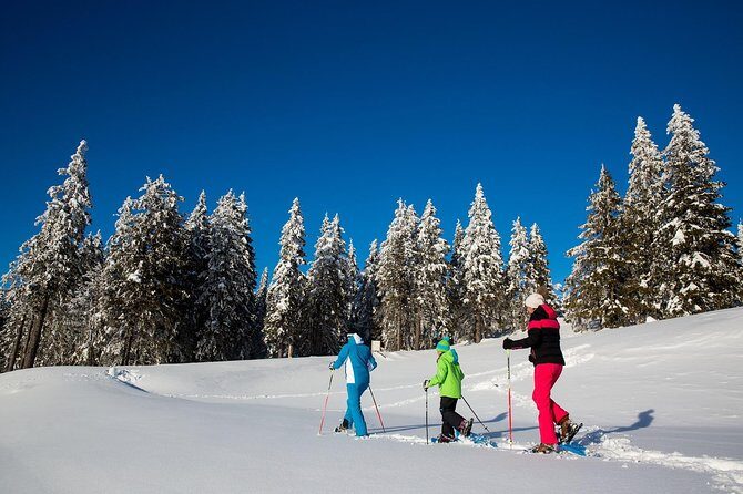 3-Hour Guided Snowshoeing Adventure in the Slovenian Alps - Key Points