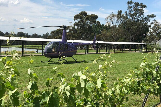 3 Hour Helicopter Wine Tasting Tour in Hunter Valley - An Overview of the Helicopter Wine Tasting Tour