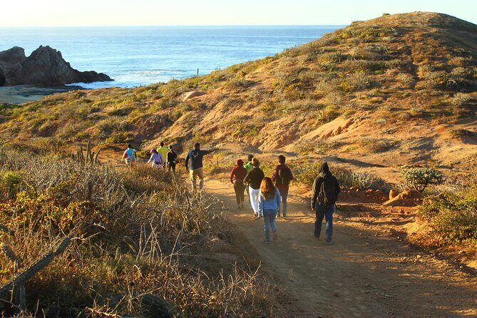 3 Hour Hiking Activity at the Hidden Arch Of Los Cabos - The Practicalities