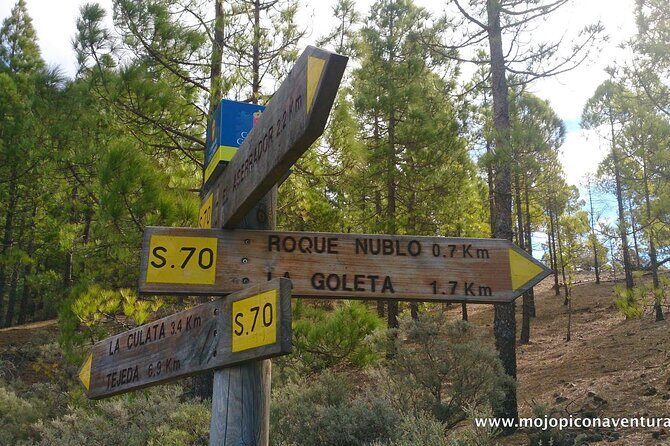 3-Hour Hiking Experience in Roque Nublo - FAQ