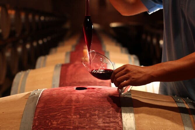 3 Hour Horse Ride to a Castle for Wine Tasting and snack Lunch - The Experience in Detail