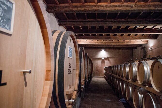3 Hour Horse Ride to a Castle for Wine Tasting and snack Lunch - Key Points