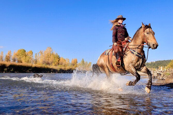 3 Hour Horseback Riding in Jackson Hole - Introduction