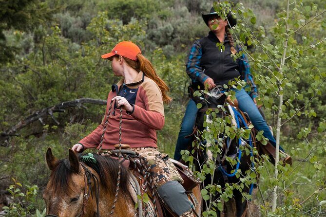3 Hour Horseback Riding in Jackson Hole - Authentic Feedback from Past Participants