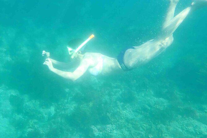 3-Hour Kayak and Snorkeling Experience in Batemans Bay - Pricing and Value: Is It Worth It?