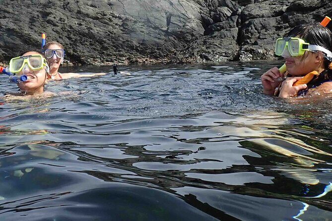 3-Hour Kayak and Snorkeling Experience in Batemans Bay - Who will Love This Tour?