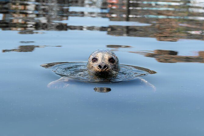 3 Hour Kayak in Vancouver with Coffee on the Beach - The Itinerary in Detail