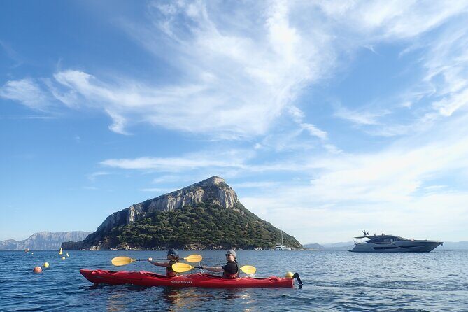 3-Hour Kayak Tour at Capo Figari (Golfo Aranci) - Who Should Consider This Tour?