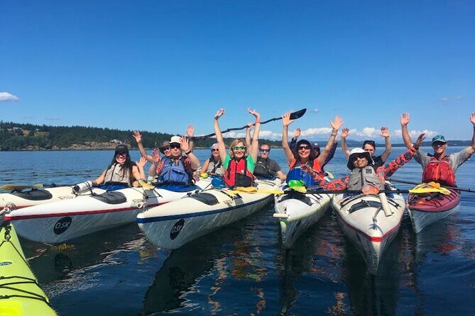 3 Hour Kayaking Tours from Friday Harbor - Key Points