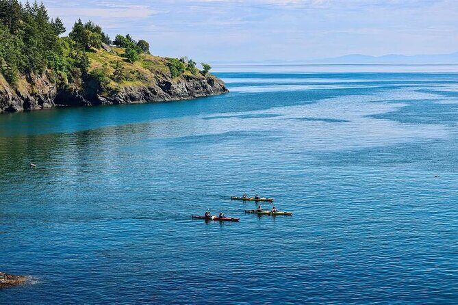 3 Hour Kayaking Tours from Friday Harbor - FAQ