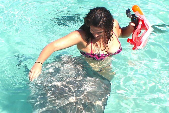 3-hour Lagoon Snorkeling Tour - Private Tour - Final Thoughts: Who Will Love This Tour?