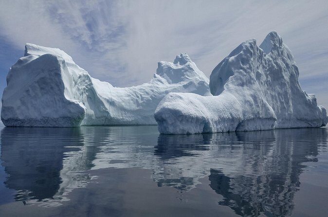 3 Hour Ocean Safari by Zodiac Boat -Whales & Icebergs seasonally - The Sum Up