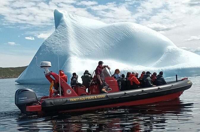 3 Hour Ocean Safari by Zodiac Boat -Whales & Icebergs seasonally - FAQ