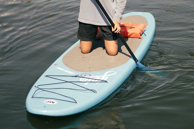 3 Hour Paddle Board Rental - Introduction