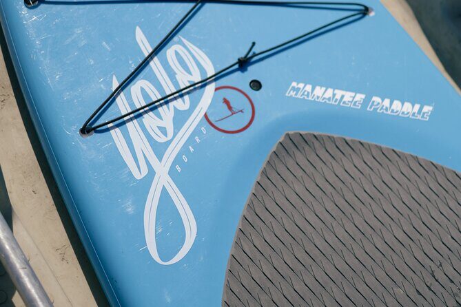 3 Hour Paddle Board Rental - Key Points