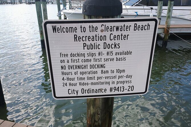 3-Hour Private Clearwater Beach Adventure  Dolphins & Sandbars - An Honest Look at the Experience