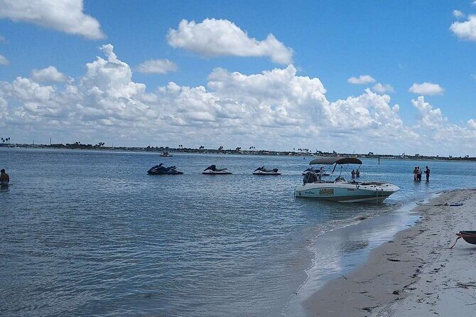 3-Hour Private Clearwater Beach Adventure  Dolphins & Sandbars - Authentic Feedback from Guests