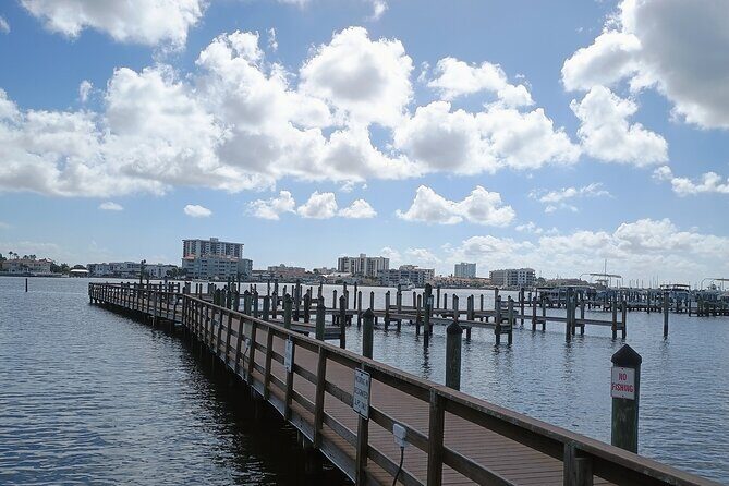 3-Hour Private Clearwater Beach Adventure  Dolphins & Sandbars - Who Will Love This Tour?