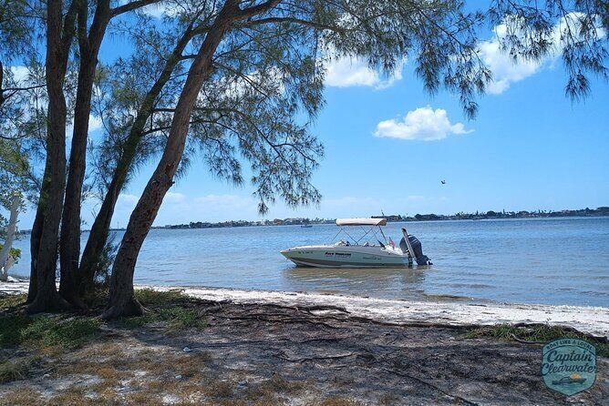 3-Hour Private Clearwater Beach Adventure  Dolphins & Sandbars - Final Thoughts: Why Choose This Tour?