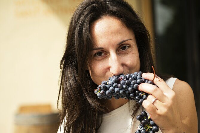 3-Hour Private Food and Wine Experience in Montalcino - A Tasty Peek into Tuscany: 3-Hour Private Food and Wine Experience in Montalcino