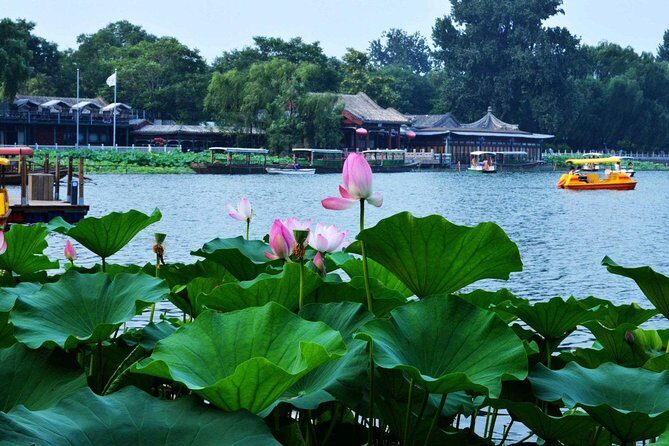 3-Hour Private Hutong Walking Tour with Drum Show at Drum Tower and Tea Tasting - Detailed Review of the Tour