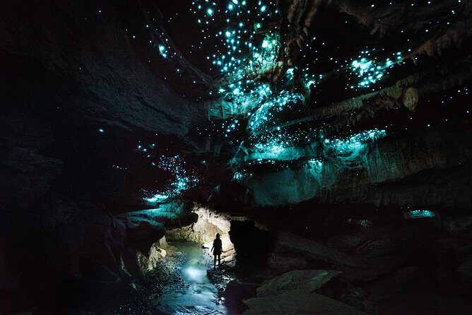 3-Hour Private Photography Tour in Waitomo Caves - An In-Depth Look at the Tour Experience