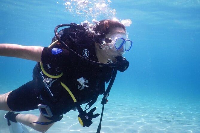 3 Hour Private Scuba Diving Experience - Authentic Insights from Reviewers