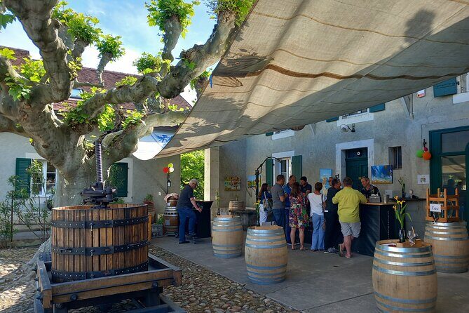 3 Hour Private Tour Countryside Vineyards with Local Wine Tasting - A Closer Look at the Itinerary and Experience