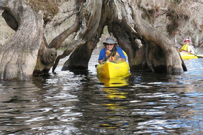3 Hour Small Group Lake Norris Kayak Activity - Key Points
