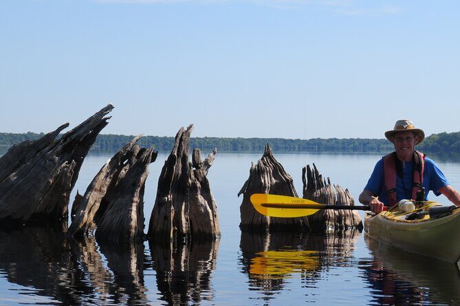 3 Hour Small Group Lake Norris Kayak Activity - The Sum Up