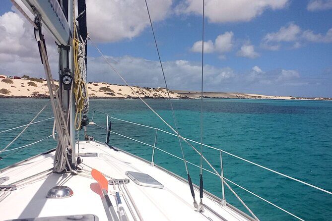 3-Hour Small-Group Sailing Tour around the Lobos Island - Authentic Insights from Reviewers