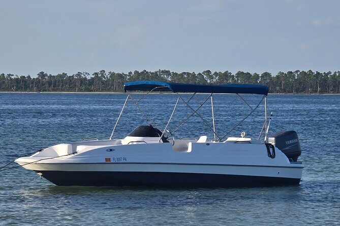 3 Hour Sunset Cruise to Shell Island - What We’ve Heard from Others