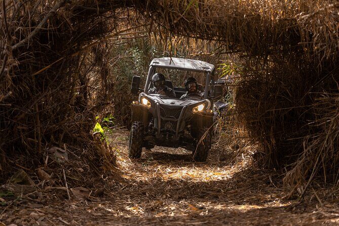 3-hour tour by Buggy or Quad in the Algarve - Reviews and honest feedback