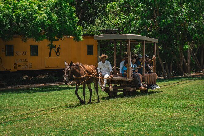3 Hour Tour in The Sotuta de Peón Live Museum - Final Thoughts