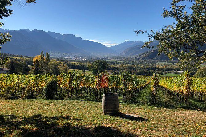 3 Hour Unique Wine Tour - Half Day in Swiss Alps - Key Points