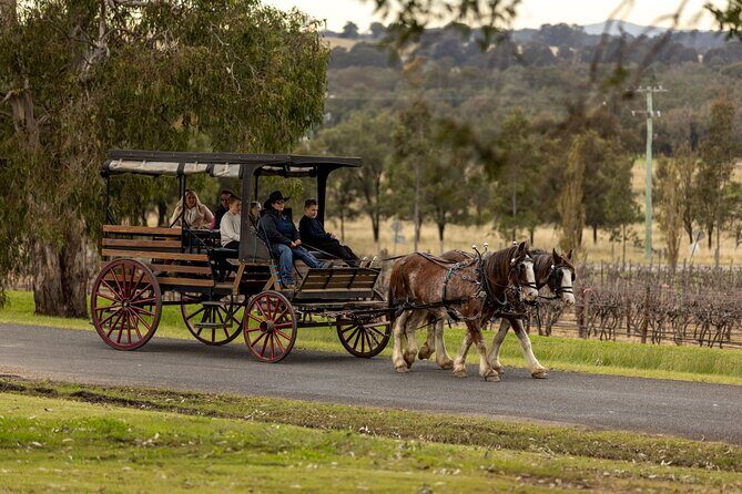 3- Hour Wine and Harvest the Hunter Horse Tour in Pokolbin - An In-Depth Look at the Hunter Valley Horse and Harvest Tour