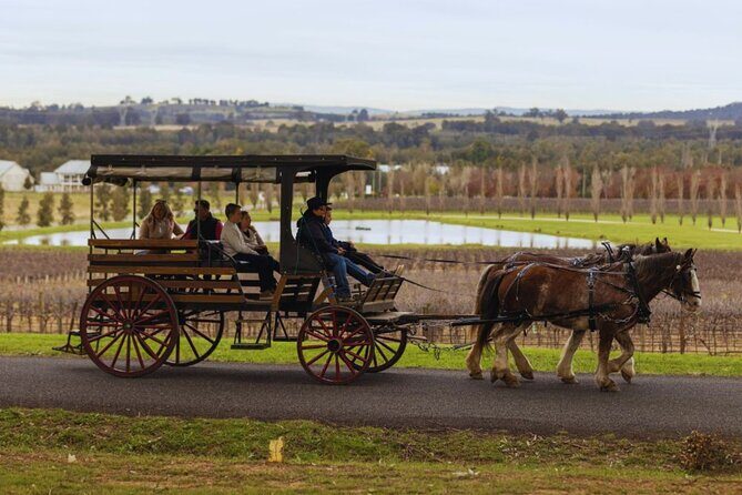 3- Hour Wine and Harvest the Hunter Horse Tour in Pokolbin - Final Thoughts