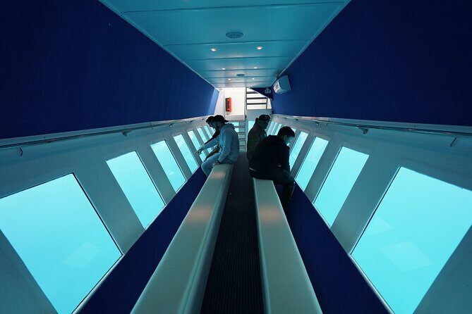 3 Hour Yellow Semi Submarine Swimming Cruise with Drinks Included! - Key Points