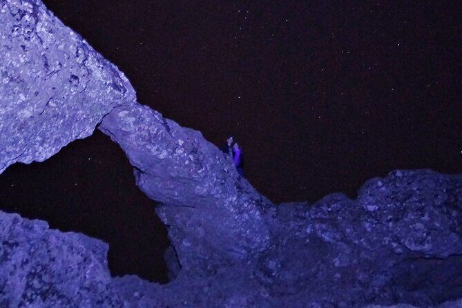 3-Hours Astronomy Hiking Experience in Roque Nublo Mountains - Who Will Love This Tour?