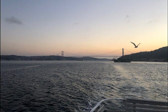 3 Hours Bosphorus Boat Cruise with Stop in Asia Side - Practicalities and Considerations